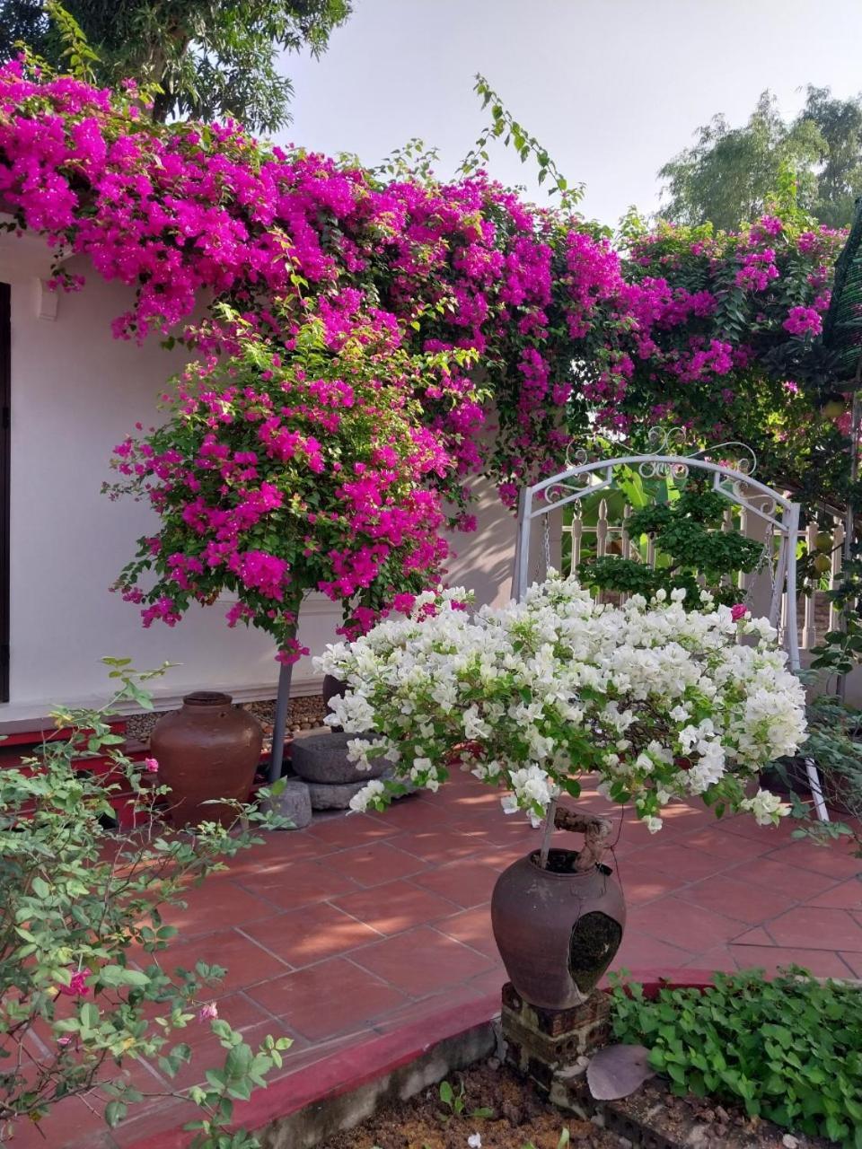 Nha Xanh Homestay Ninh Binh Exterior foto