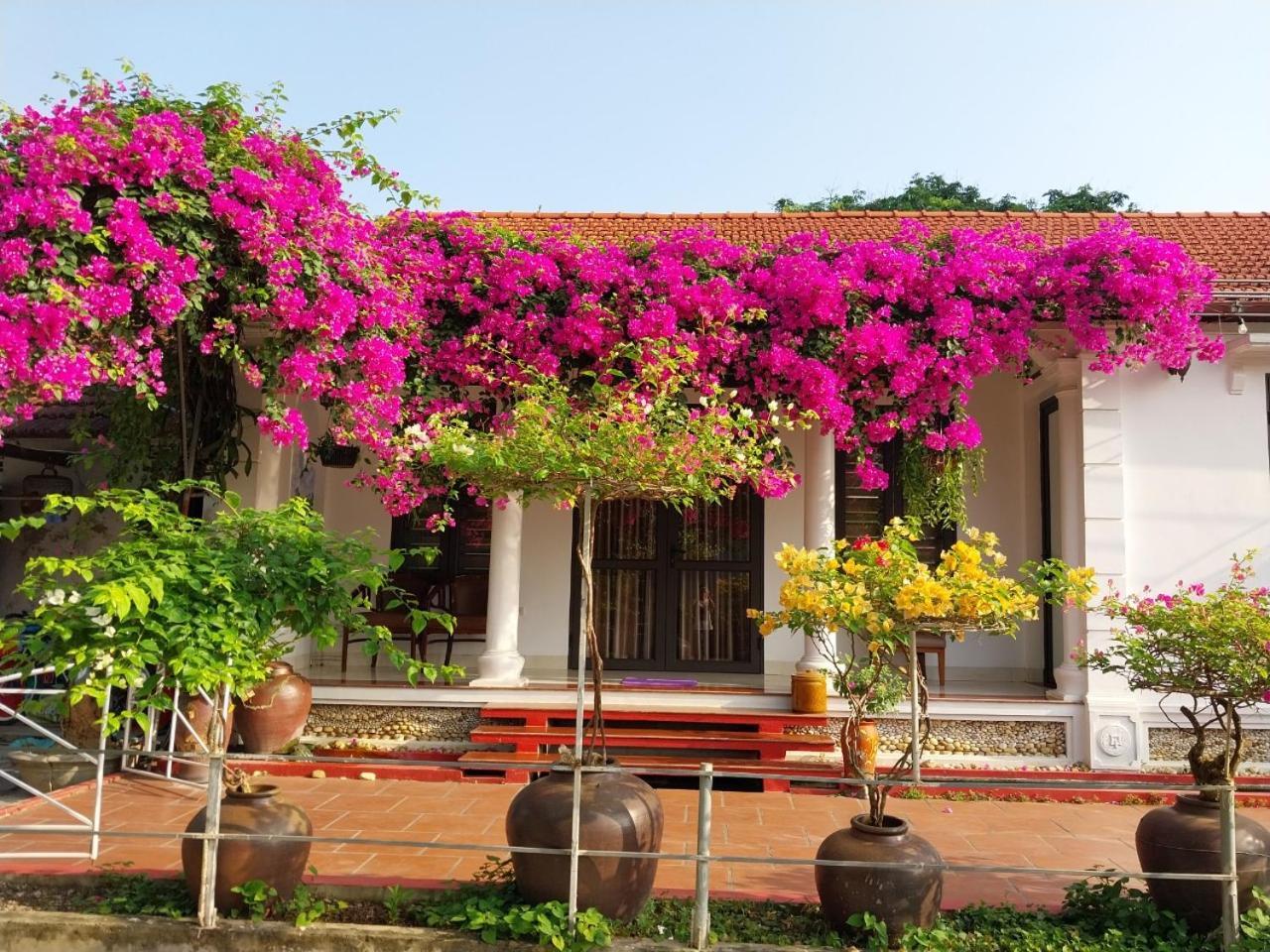 Nha Xanh Homestay Ninh Binh Exterior foto