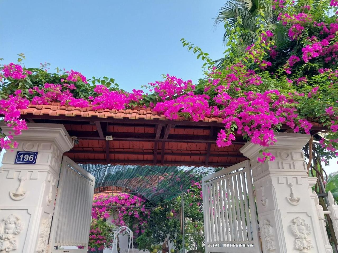 Nha Xanh Homestay Ninh Binh Exterior foto